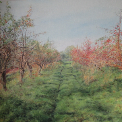 2022 | Öl auf Leinwand | 70 x 70 cm